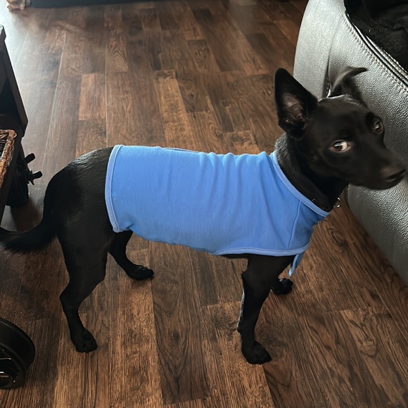 Calming Shirt S - Picture 7 of 7